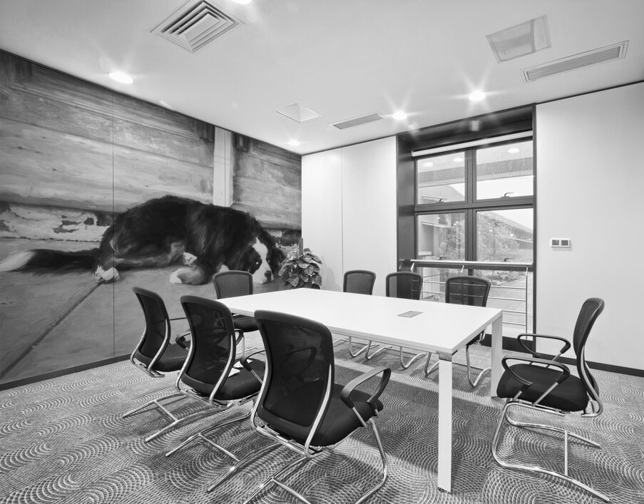 Bernese Mountain Dog Aspen X100 Wall Printing