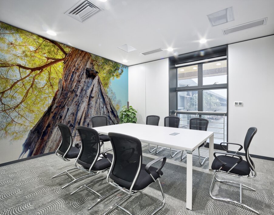 Ancient Redwood Wall Printing