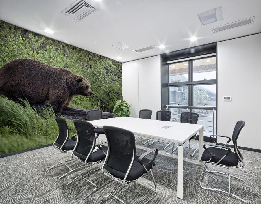 Brown Bear Wall Printing