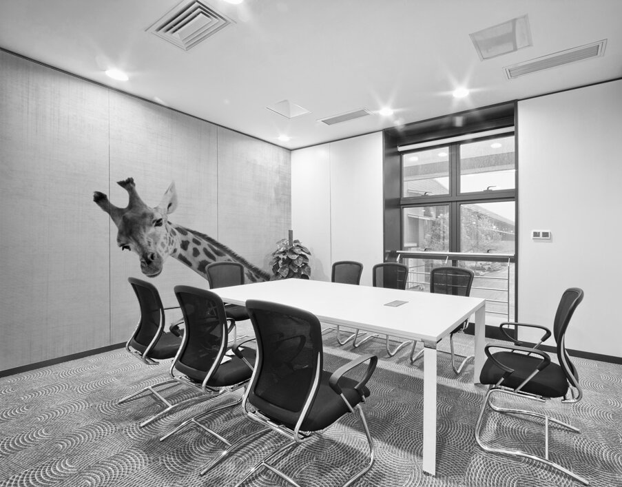 Peekaboo giraffe Wall Printing