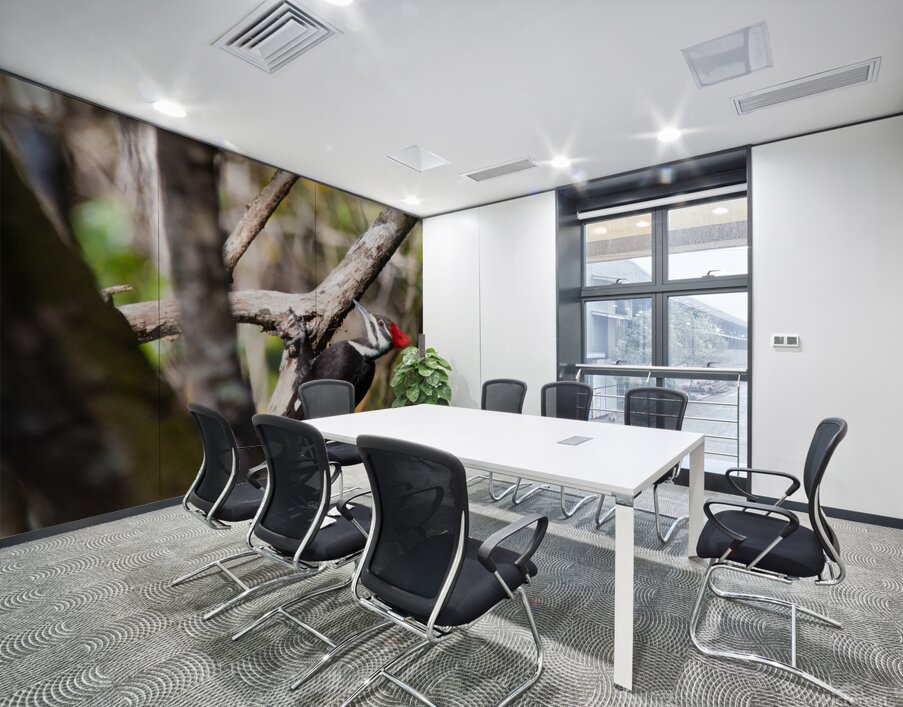 Pileated Woodpecker 7819 Wall Printing