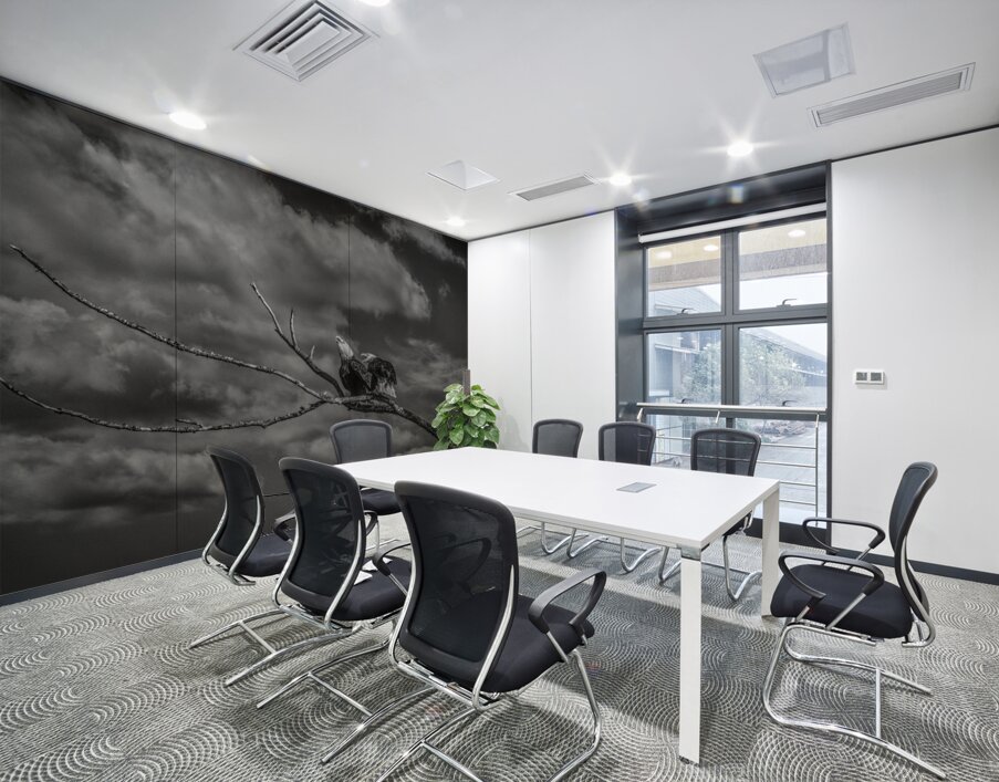 FS250211BW EAGLES CALLING Wall Printing