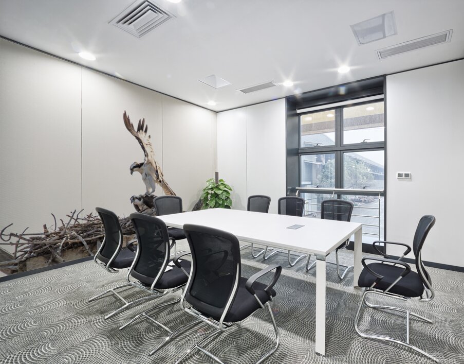 Osprey 1146 Wall Printing