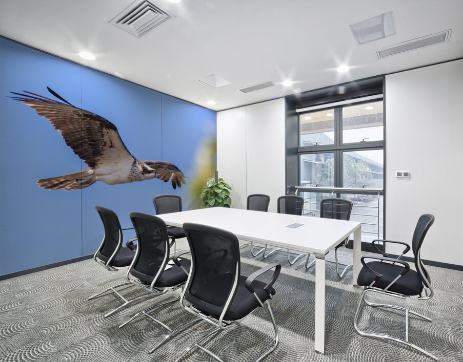 Osprey 5011 Wall Printing