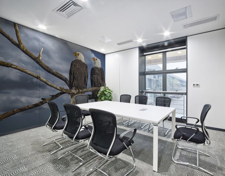 FS250211 PAIR OF EAGLES TWOGETHER 2 Wall Printing