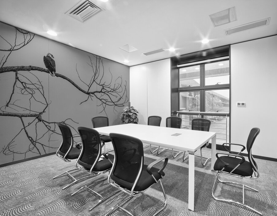 FS250209 TWO EAGLES TWOGETHER BW Wall Printing