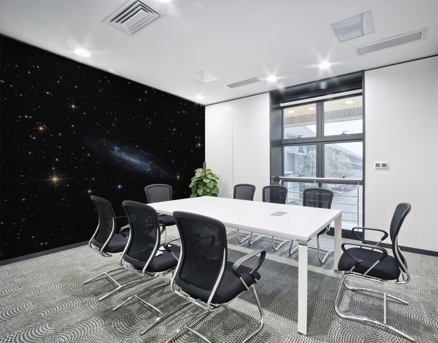 The Shy Spiral - February 23rd 2025 Wall Printing