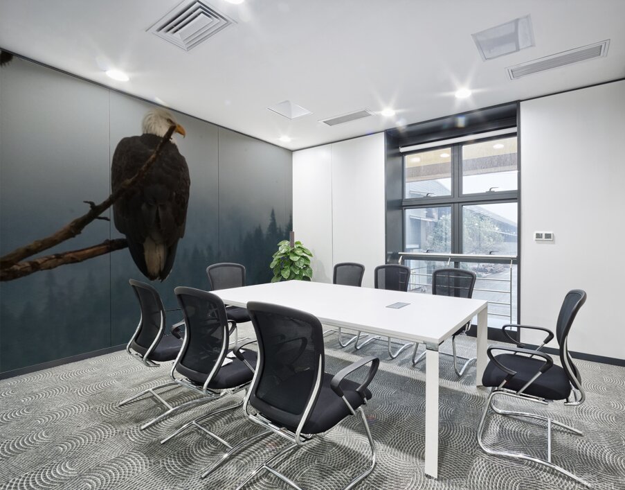 Bald Eagle Wall Printing