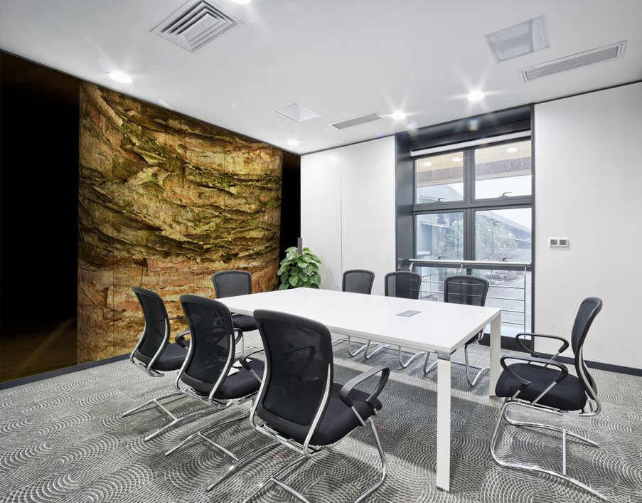 kanha IV Wall Printing