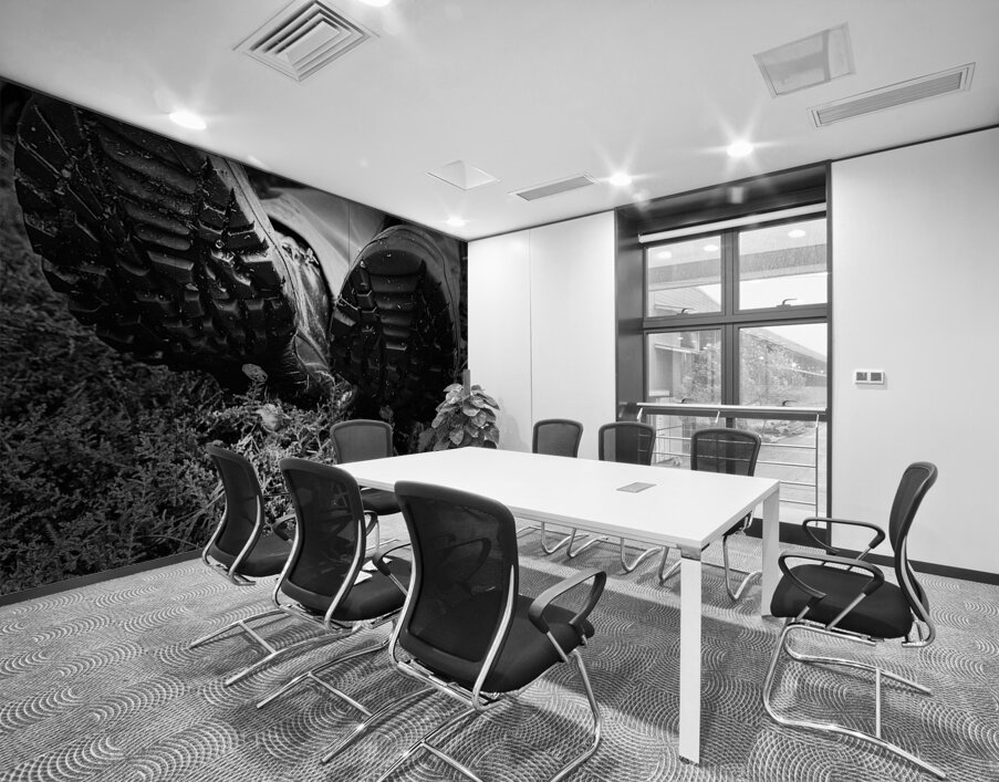 Scenes from the Trail- Resting Too Wall Printing