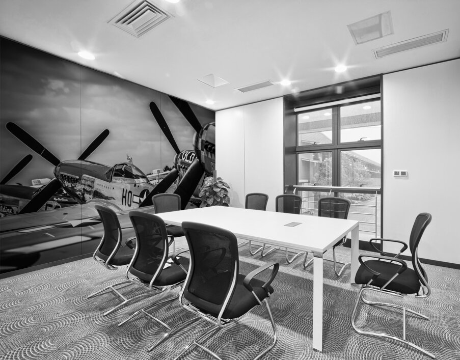 P51 Mustang Series 002 Wall Printing