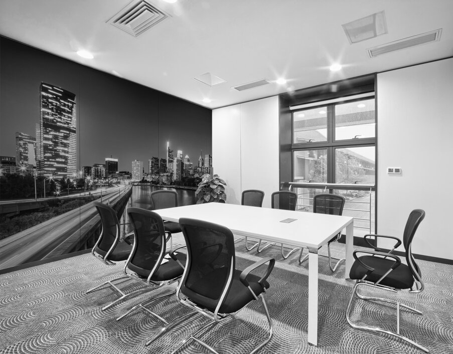 Dynamic Philadelphia | Monochrome Wall Printing