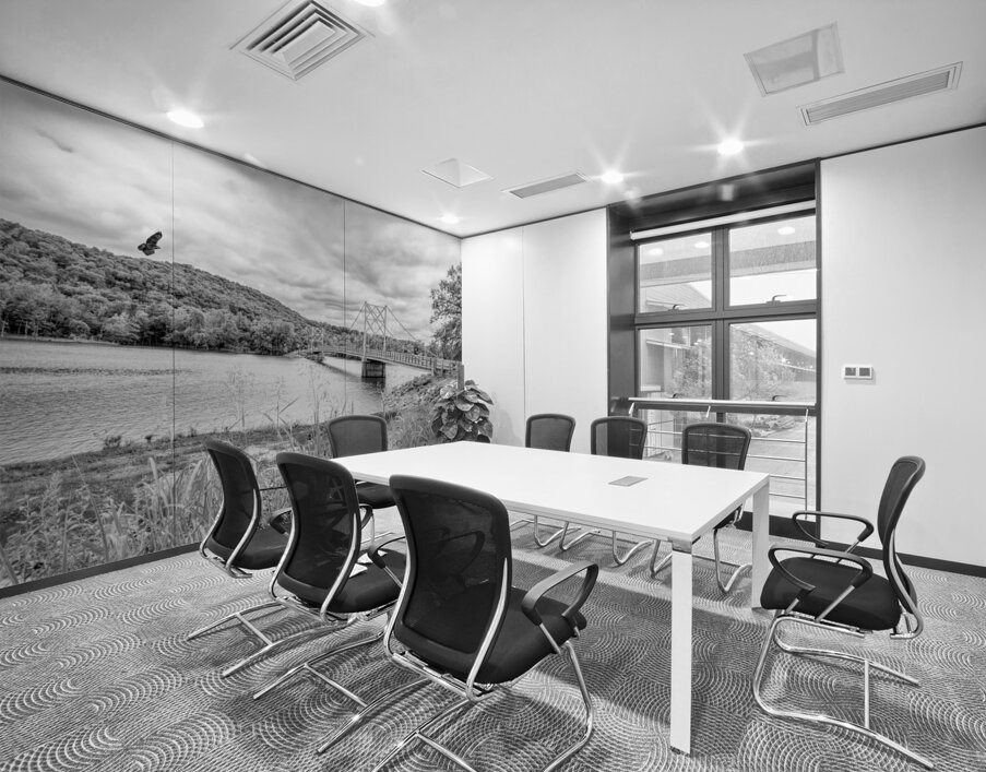 Hawk Over Little Golden Gate Grayscale Wall Printing