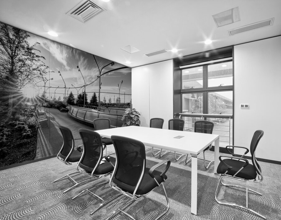 Omaha Skate Park Golden Sun Star Grayscale Wall Printing