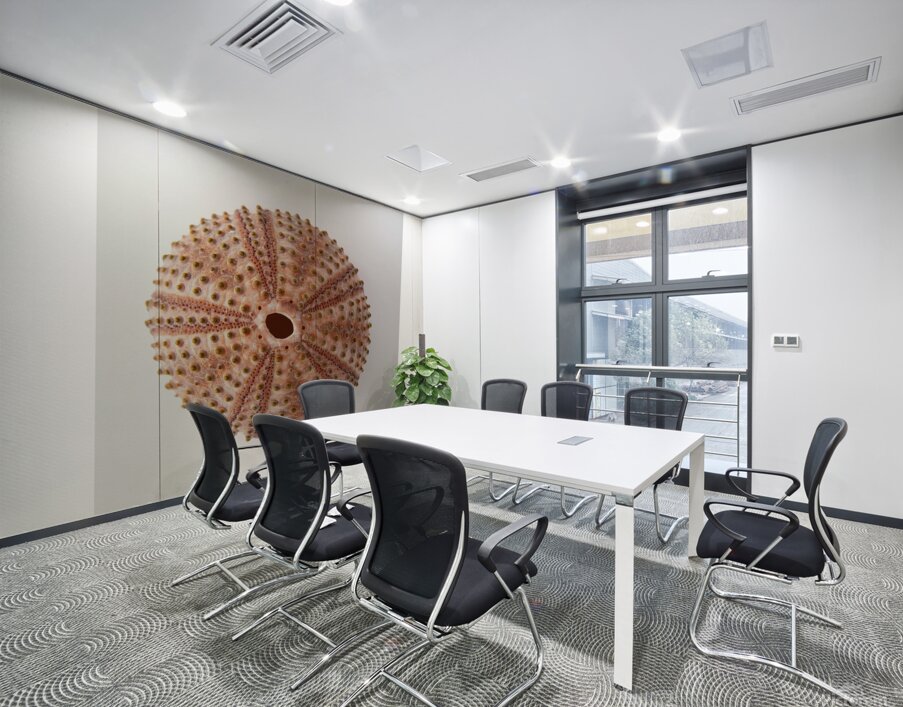 Sea urchin shell  Wall Printing