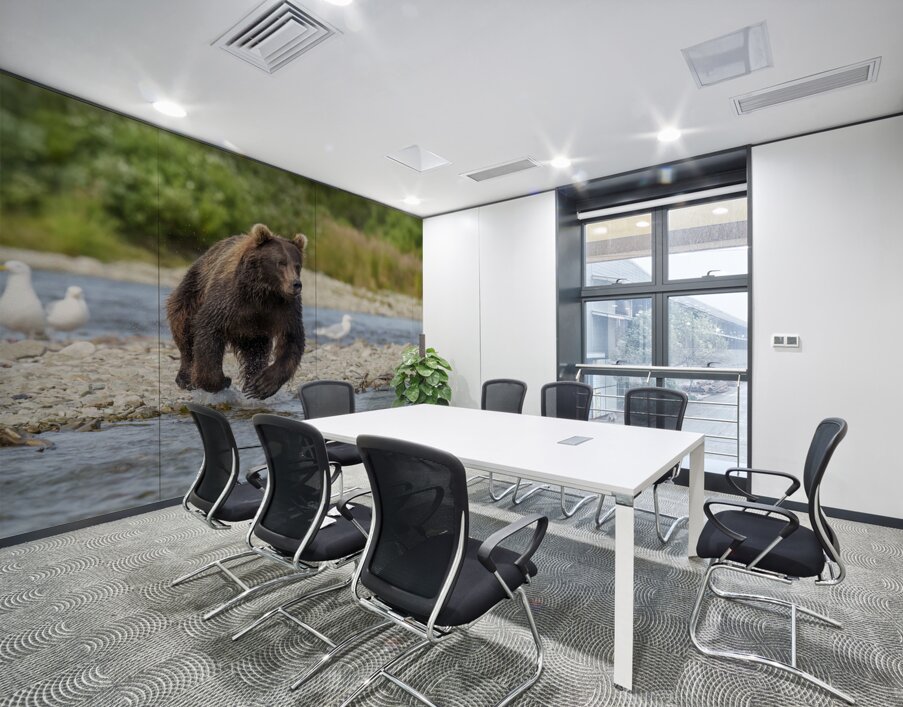 Coastal Brown Bear 7493 Wall Printing