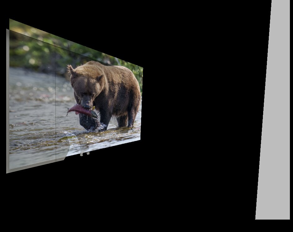 Coastal Brown Bear 5755 Wall Printing