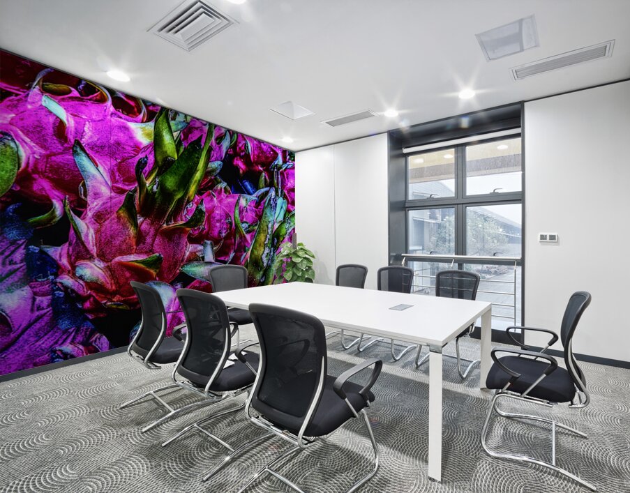 Dragon Fruit Wall Printing