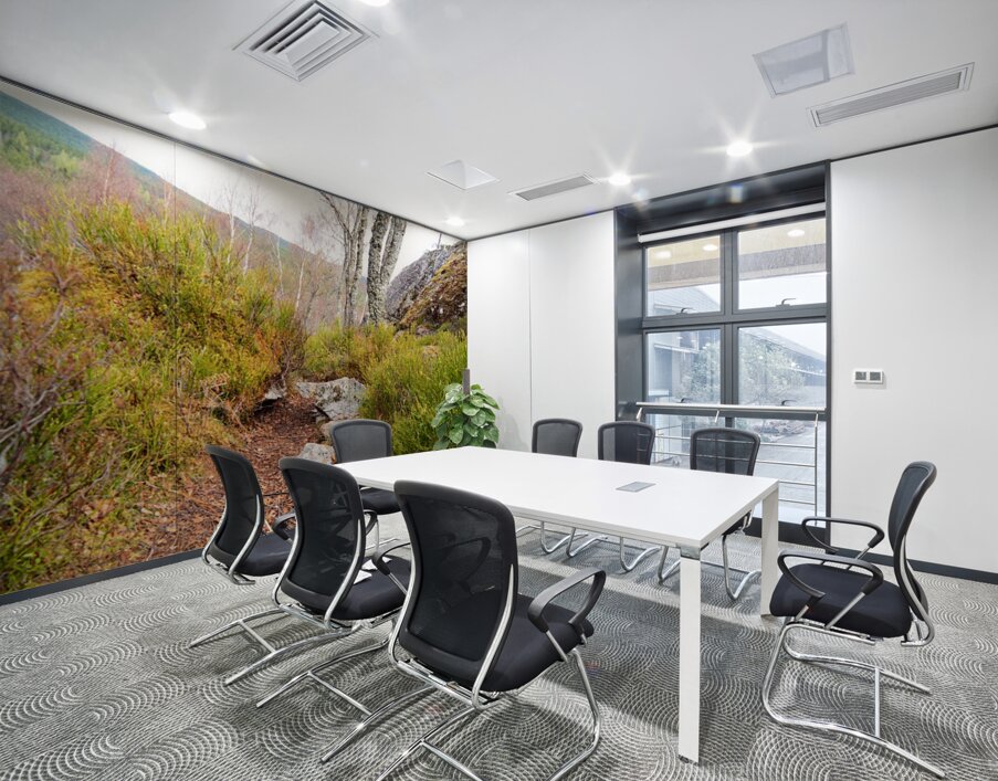 Spring Nature Trail Through The Scottish Highlands                                                                                                                    Wall Printing