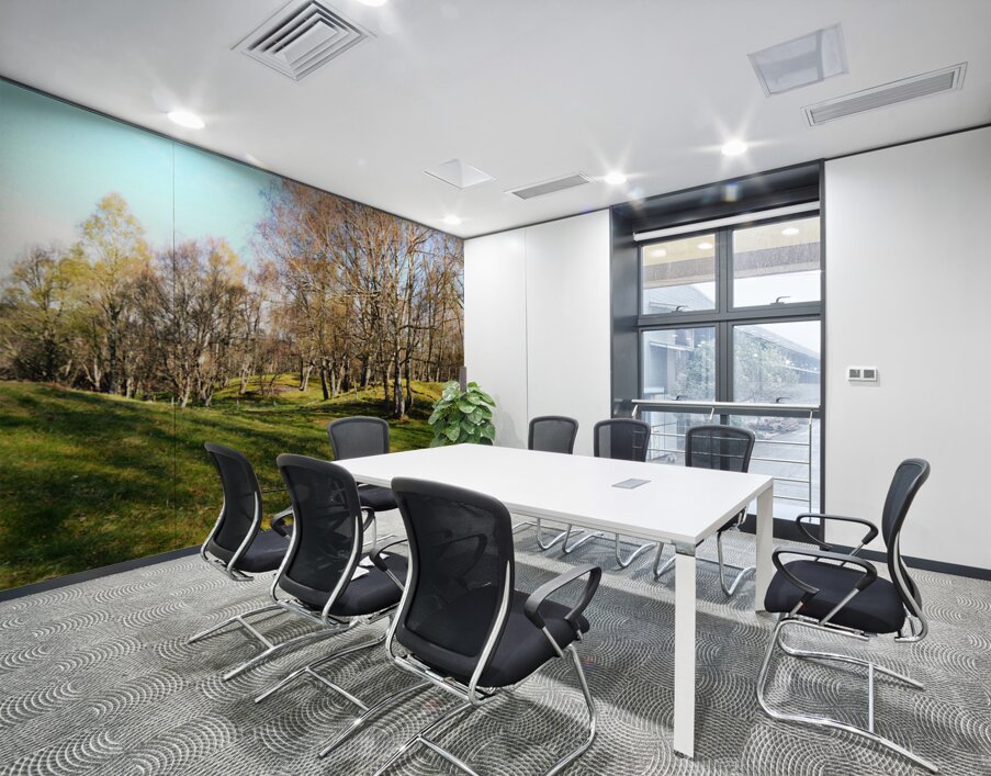 Spring Serenity in the Scottish Highlands                                                                                                                      Wall Printing