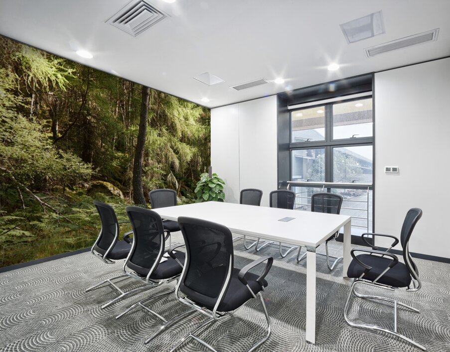 Scottish Highlands Summer Ferns in the Forest Wall Printing