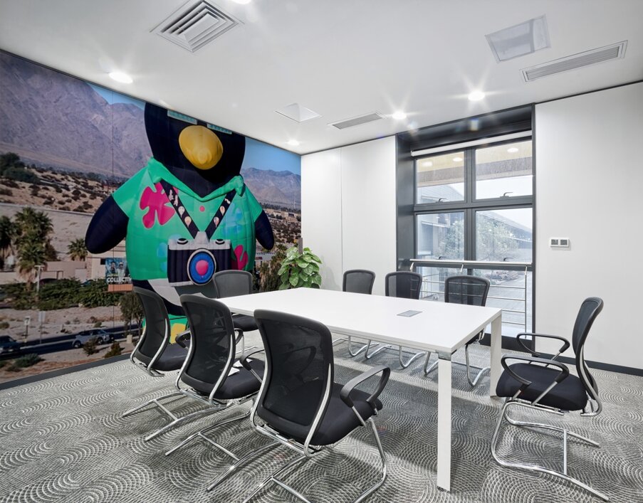 Penguin Photographer Hot Air Balloon Wall Printing