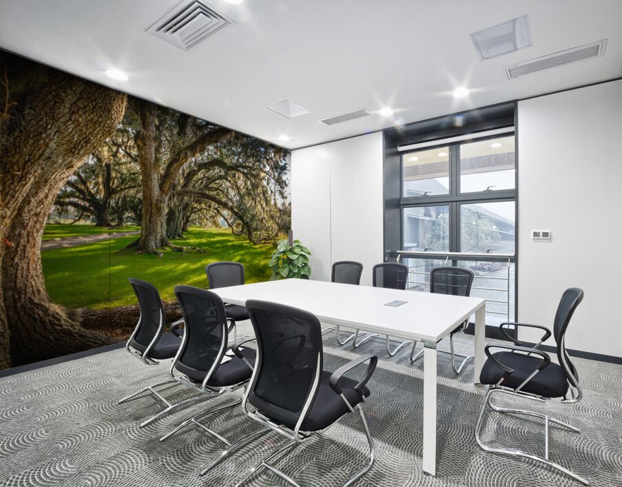 South Carolina Beaufort Live Oak Allee Wall Printing