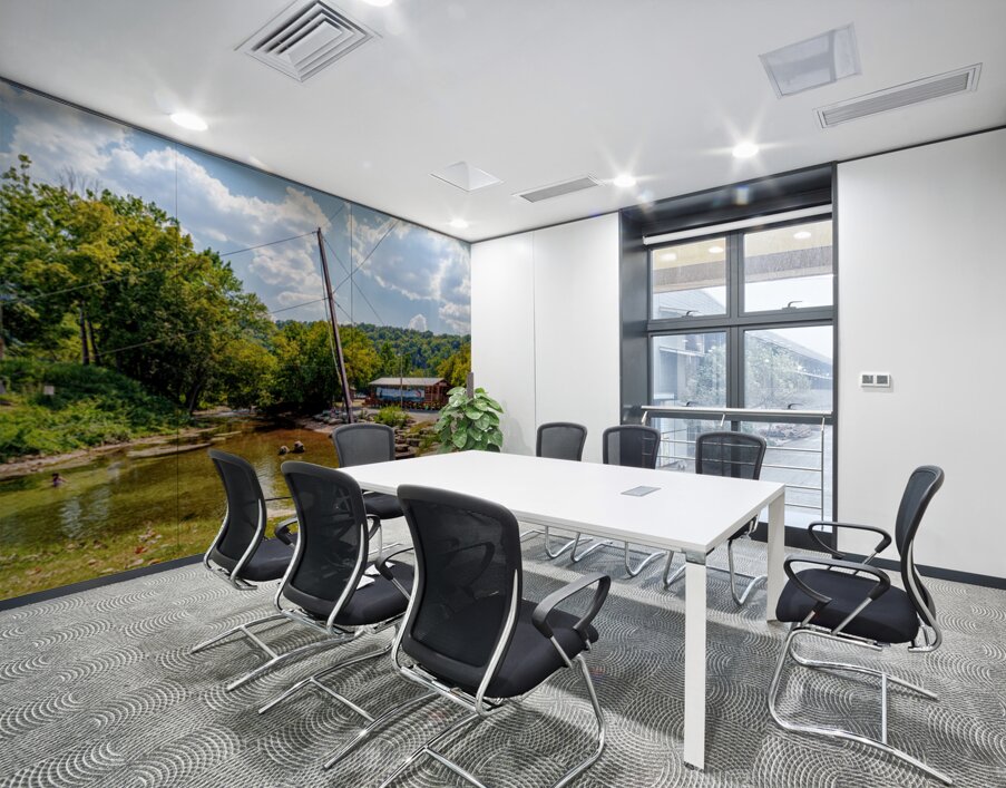 Rope Swing Big Spring Arkansas Wall Printing