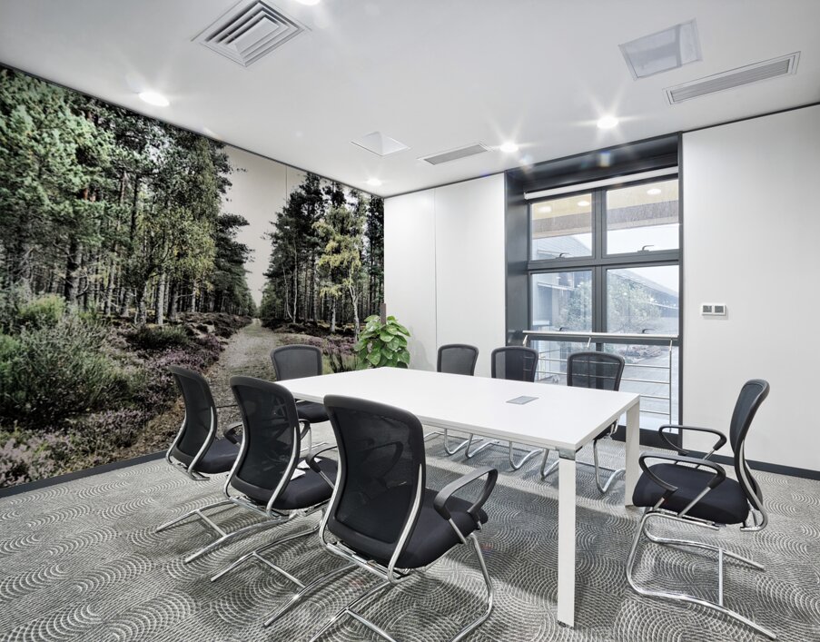 Scottish Highlands Serene  Birch Woodland Trail                                                                                                Wall Printing