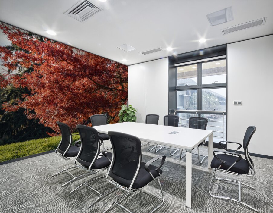 Backlit tree with fall foliage Wall Printing