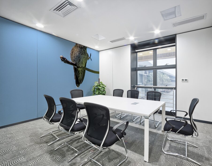 Perched hummingbird waving foot Wall Printing