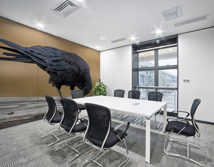 American Crow bending over for crumbs Wall Printing