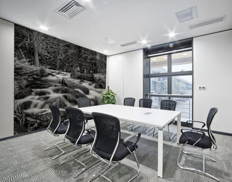 Cascade of Silver Silence Roosevelt Forest Wall Printing