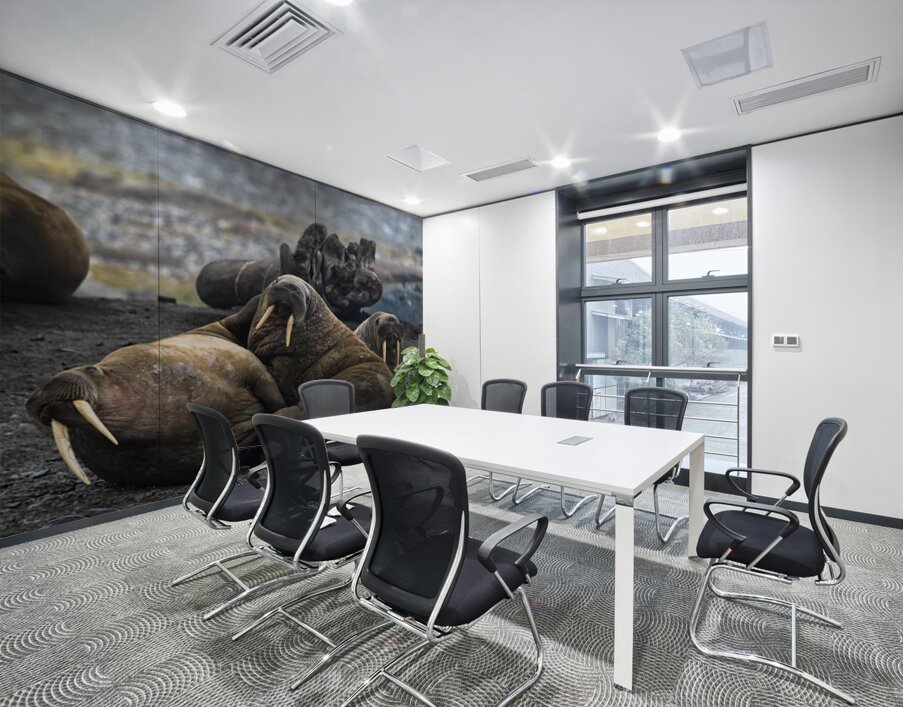 WALRUS TRIO Wall Printing