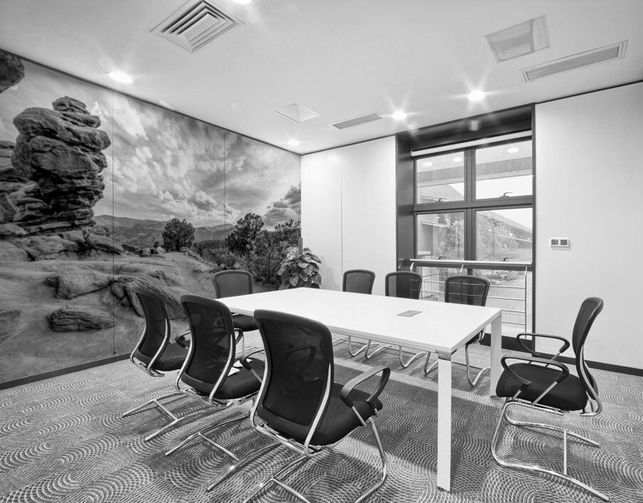 Pikes Peak View Behind Siamese Twins Grayscale Wall Printing