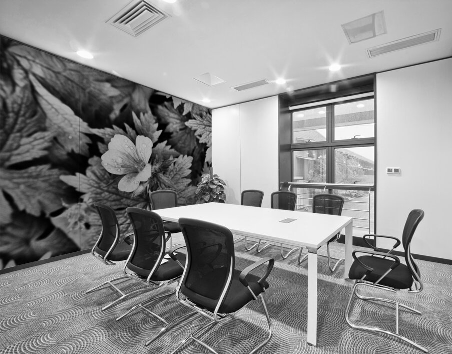 Monochrome Dew Kissed Geranium   Wall Printing