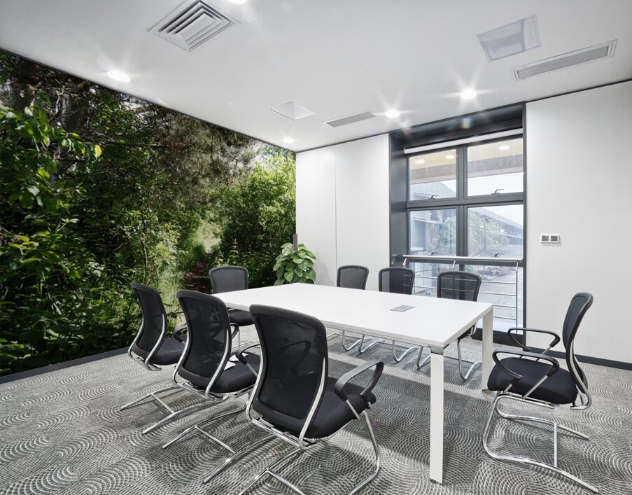 Scottish Highlands Sun Kissed Nature Trail                                                                                                                      Wall Printing