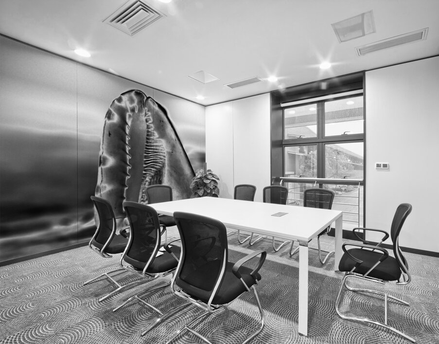 Hidden Architecture Wall Printing