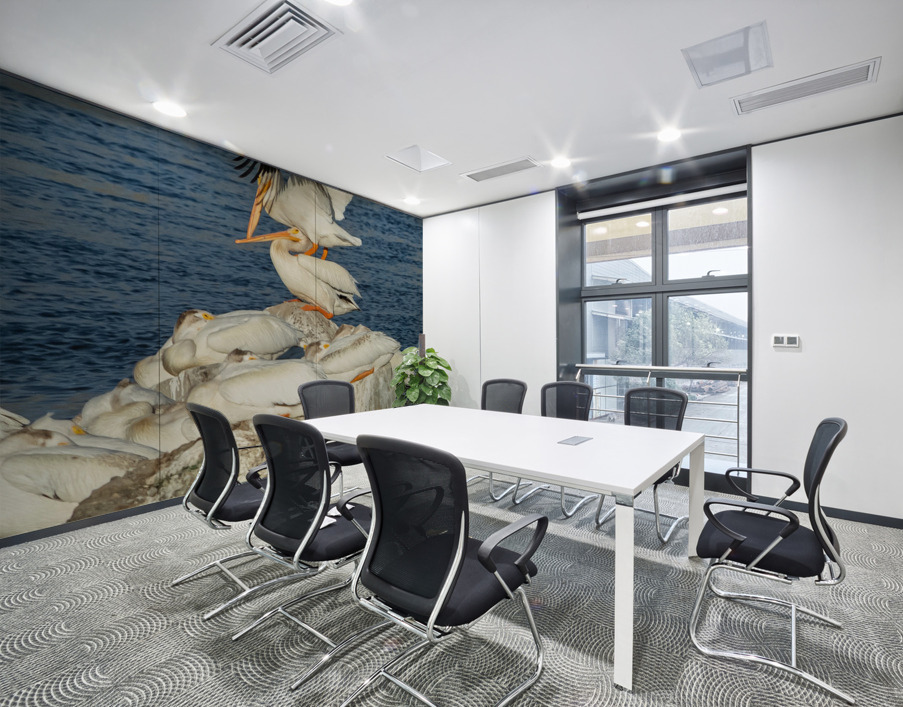 Dominant Pelican Wall Printing