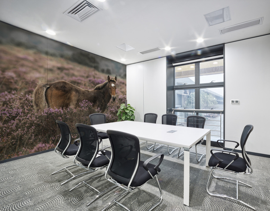 Wild Horses, New Forest Wall Printing