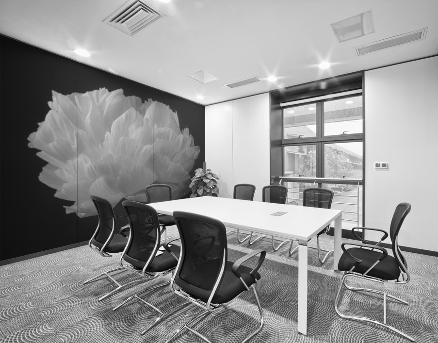 Peony flower Wall Printing