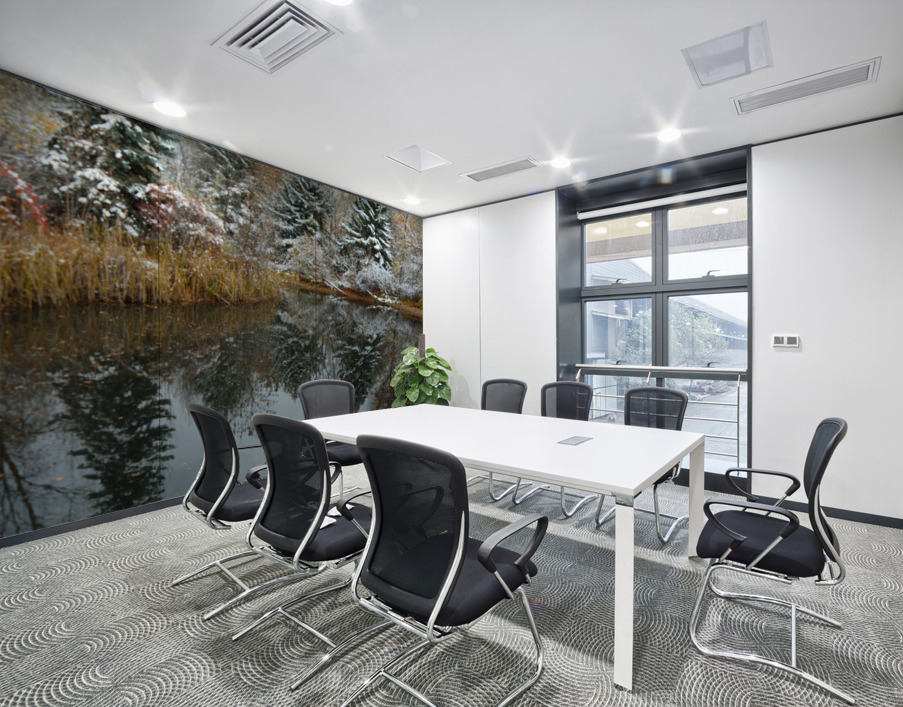 Fresh Snow and Pond Reflections Wall Printing