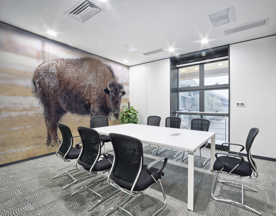 Baby Its Cold Impression murale