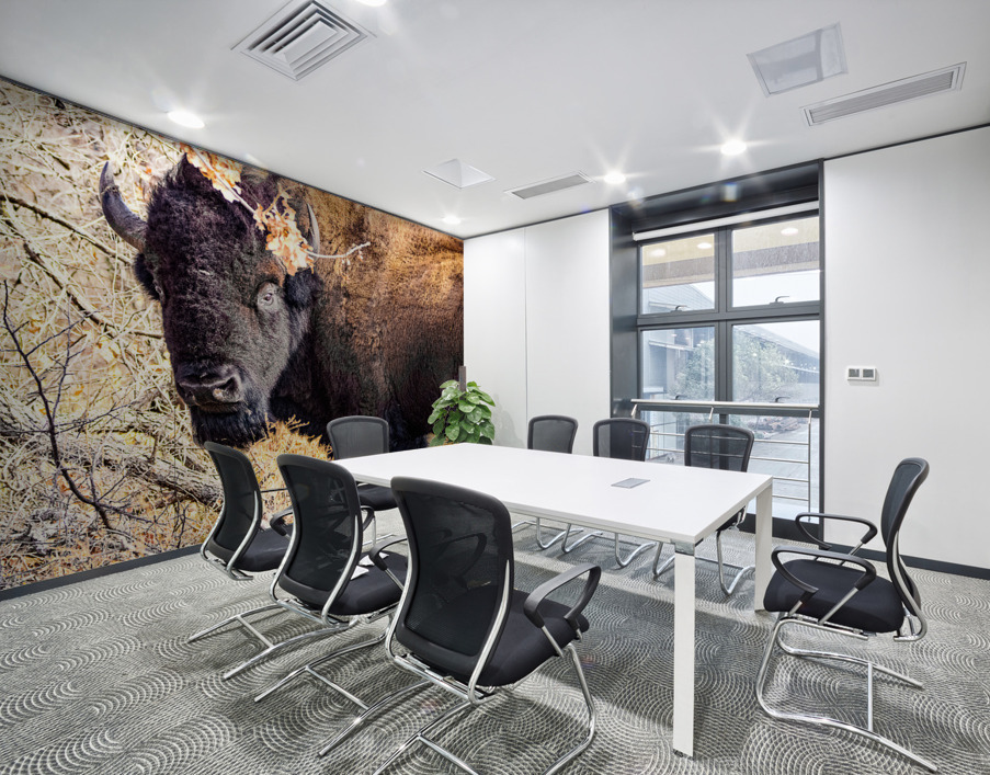 Into the Woods I Go Wall Printing