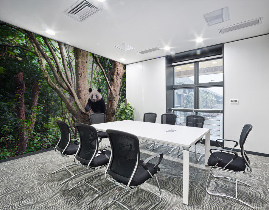 Giant panda in a tree  in Chengdu Wall Printing