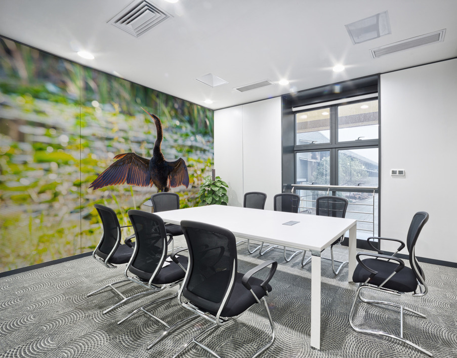 Anhinga bird drying its feathers in Everglades Wall Printing
