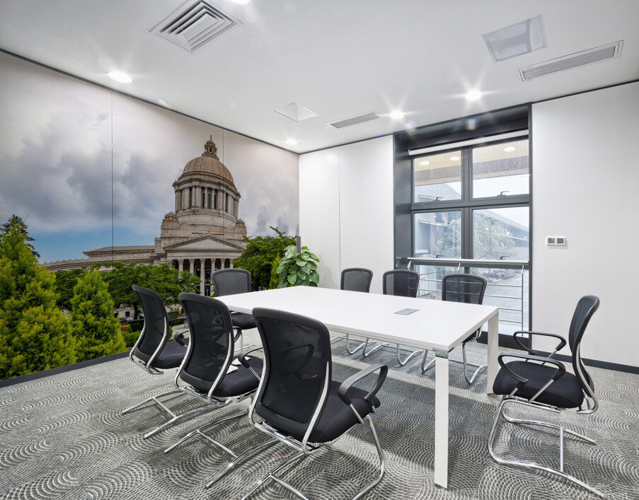 Capturing the Capitol: A High-Resolution View of Washington States Legislative Building Wall Printing