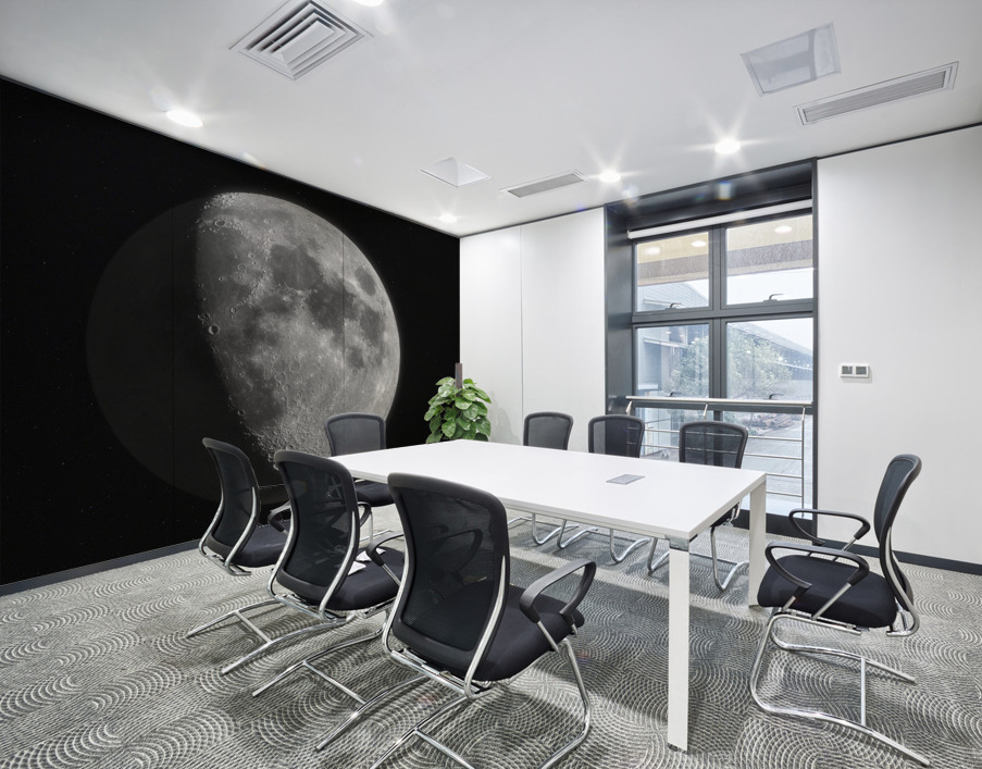 The Moon Wall Printing