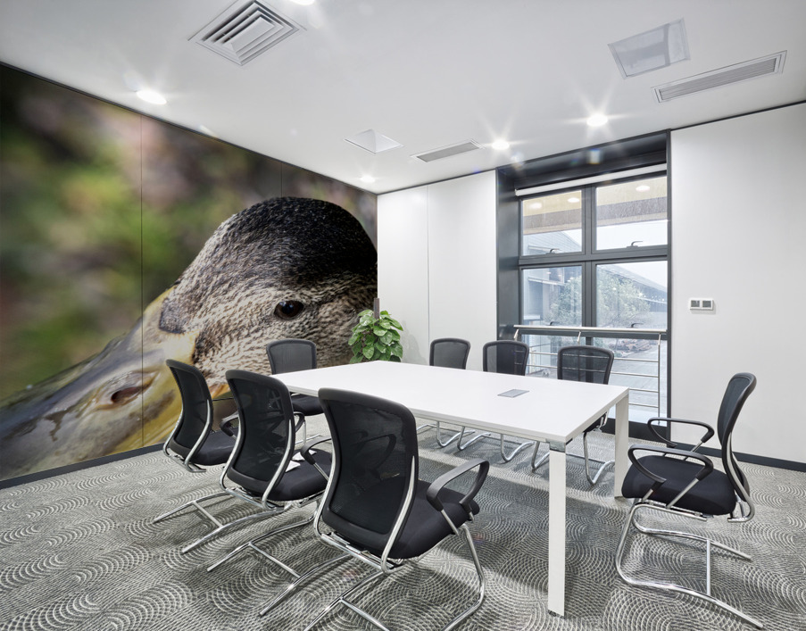 Macro canard Wall Printing