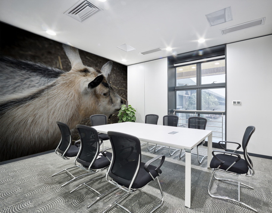 Chevre et compagnon Wall Printing